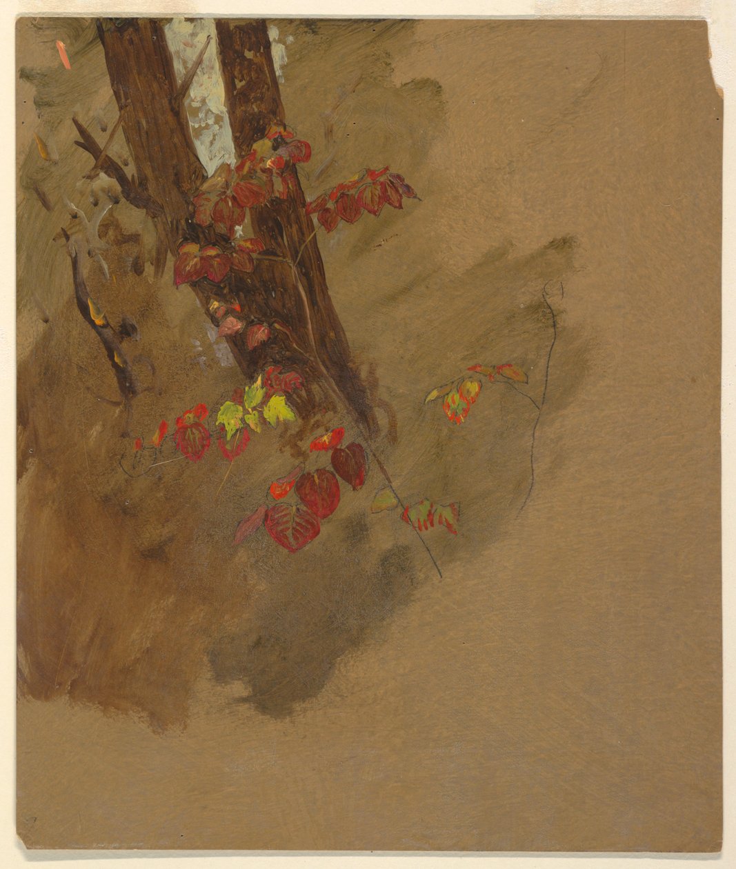 Desenho, Estudos Botânicos, 1860-70 de Frederic Edwin Church