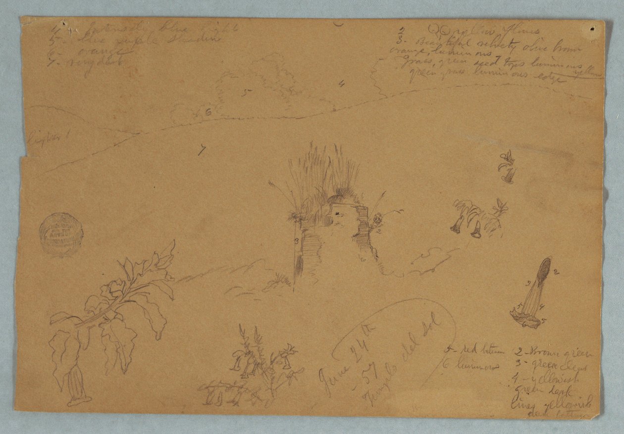 Desenho. Esboços botânicos e de nuvens perto de Quito, Equador de Frederic Edwin Church