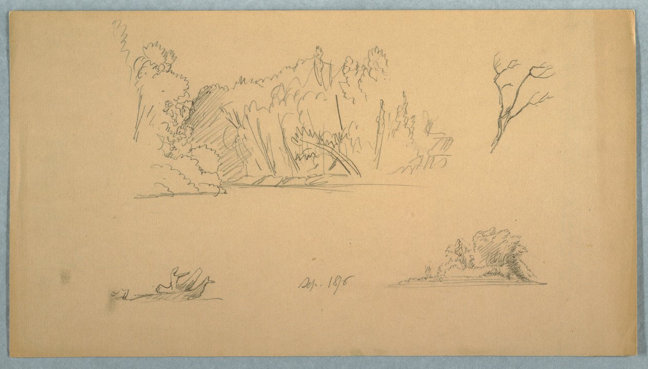 Desenho, Esboços botânicos: árvore, árvores na costa, setembro de 1876 de Frederic Edwin Church