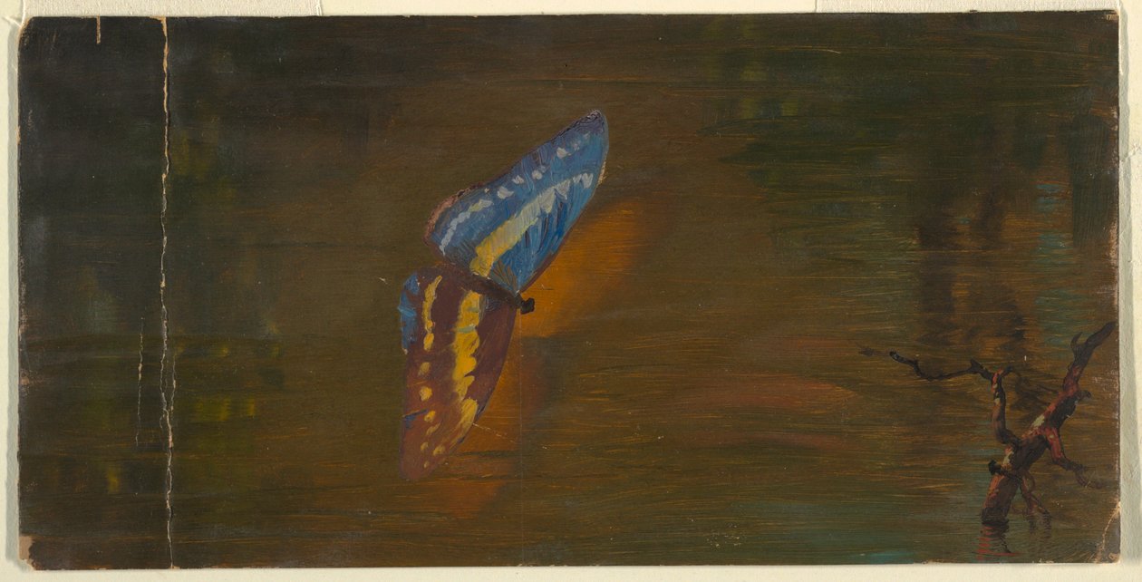 Desenho, Borboleta sobre a água, ca. 1865 de Frederic Edwin Church