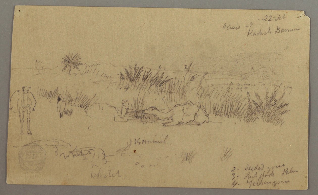 Desenho, Camelos a beber numa colina, 22 de fevereiro, possivelmente 1868 de Frederic Edwin Church
