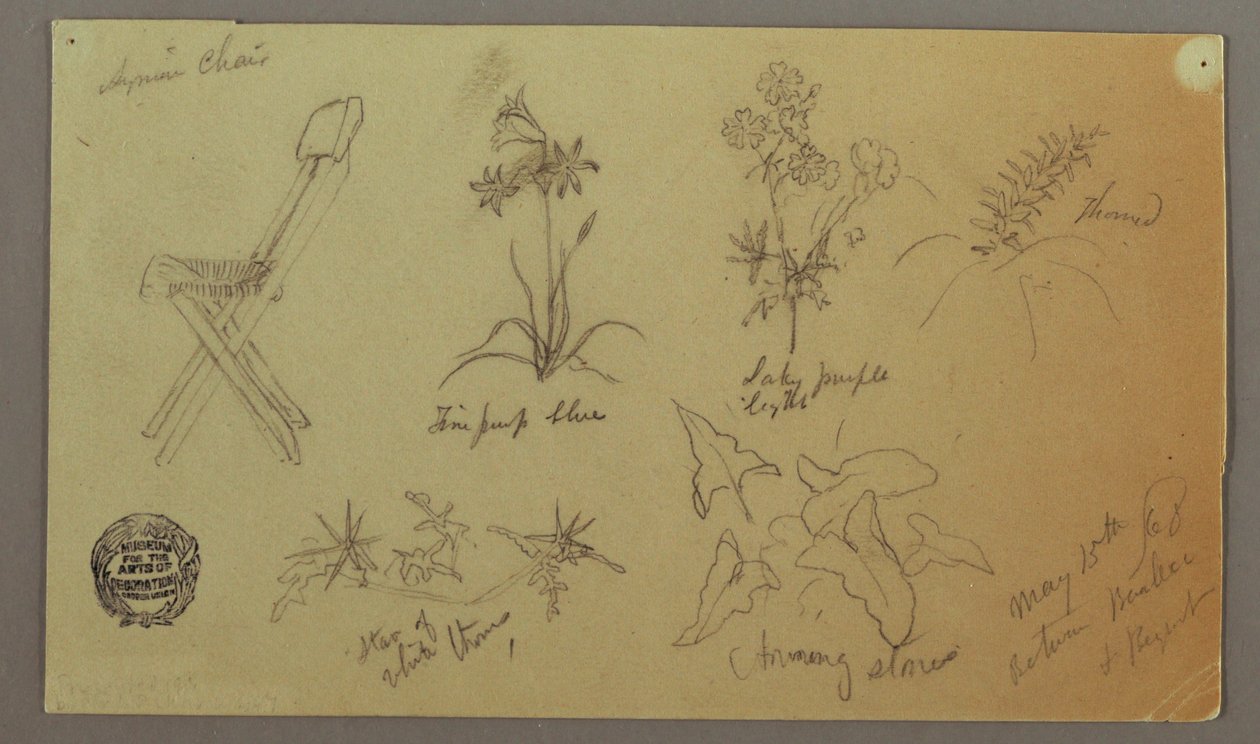 Desenho, cadeira e estudos de plantas, 15 de maio de 1868 de Frederic Edwin Church