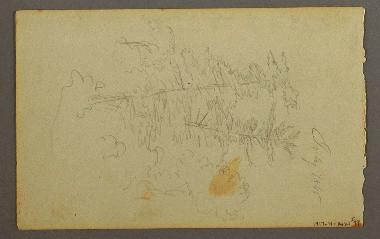 Desenho, Estudo de nuvens, 1845 de Frederic Edwin Church