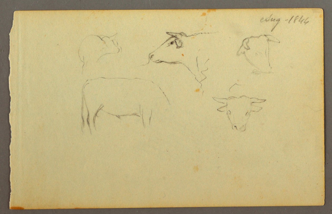 Desenho, Vacas, 1844 de Frederic Edwin Church