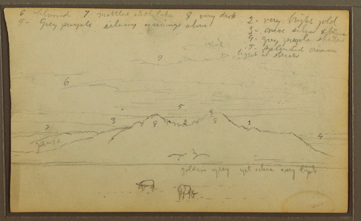 Desenho, Vacas na paisagem; Verso: Bambu, 1857 de Frederic Edwin Church