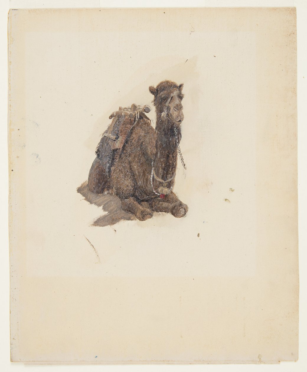 Desenho, Dromedário agachado, 1868 de Frederic Edwin Church