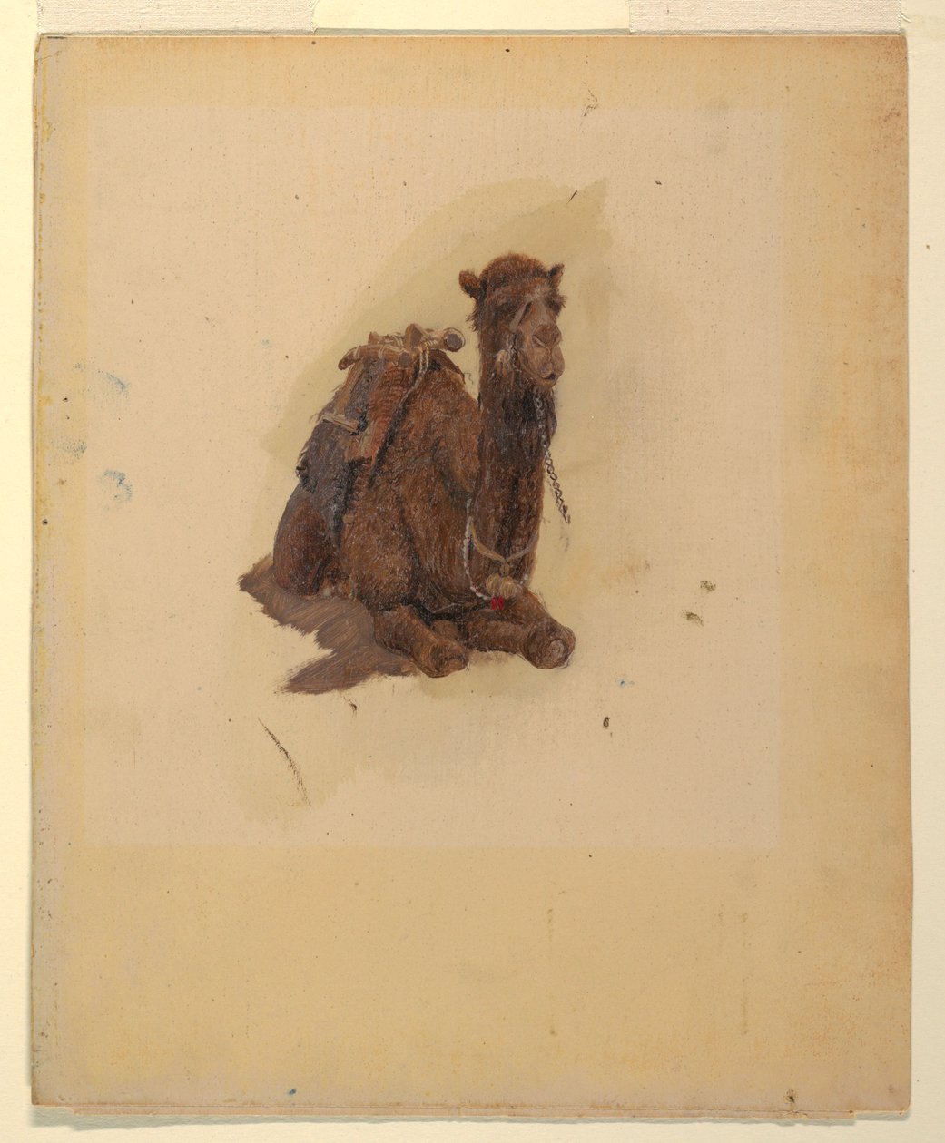 Desenho, Dromedário agachado, 1868 de Frederic Edwin Church