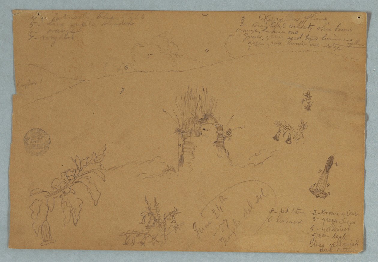 Desenho, Desenho.  Esboços botânicos e de nuvens perto de Quito, Equador, 24 de junho de 1857 de Frederic Edwin Church