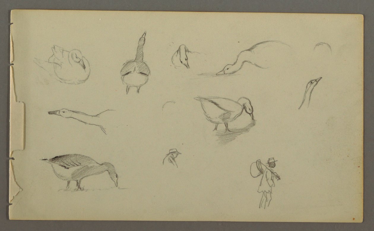 Desenho, Oito estudos de patos, dois estudos de figuras, possivelmente 1857-58 de Frederic Edwin Church