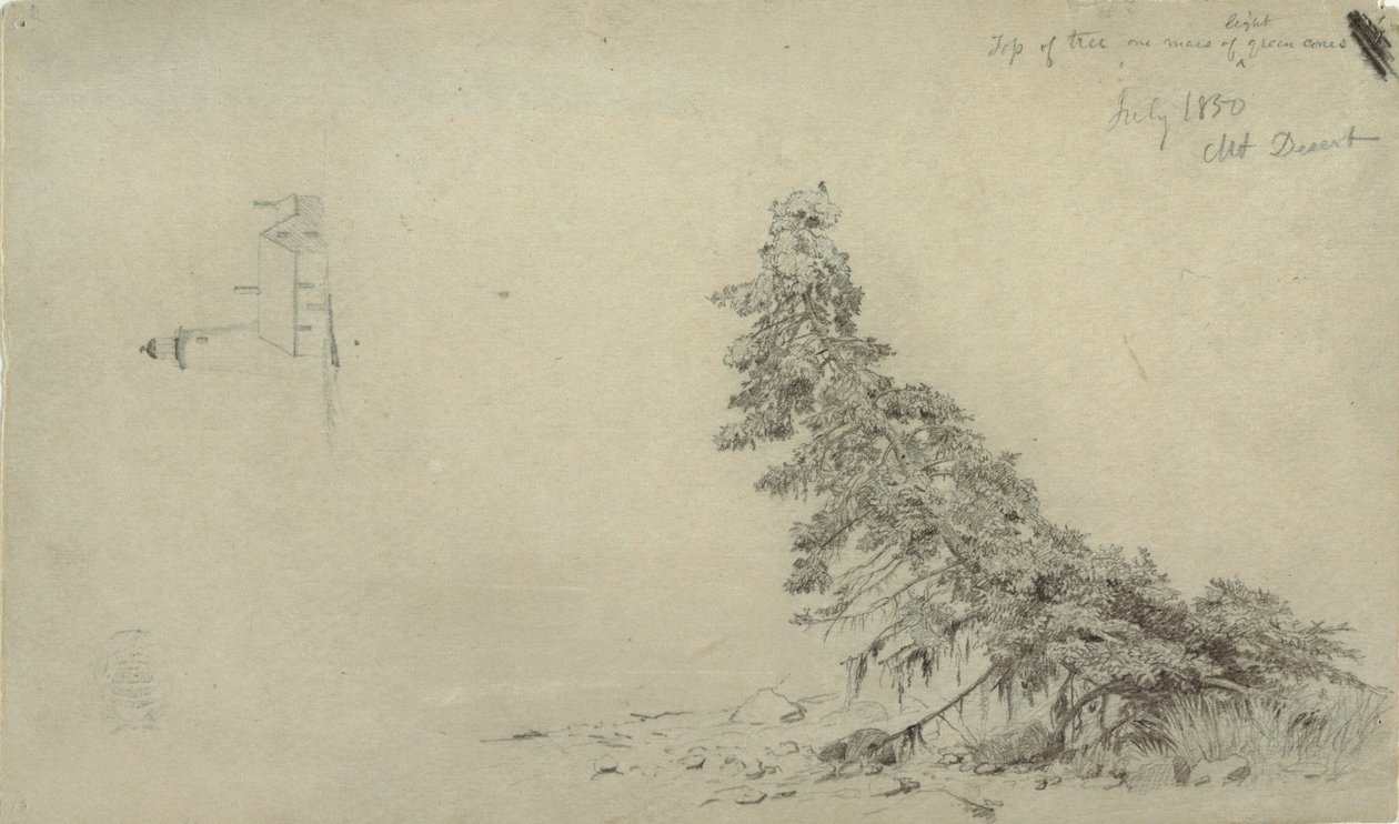 Desenho, Árvore perene perto da costa com um pormenor do farol e de uma casa, Mount Desert, Maine, julho de 1850 de Frederic Edwin Church