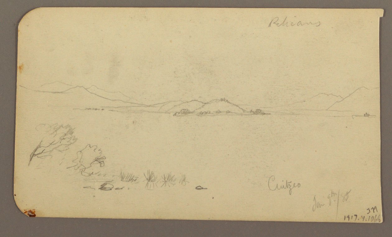 Desenho, Figura e carro de bois, cipreste; Verso: Vista do lago Cuitzeo, janeiro de 1885 de Frederic Edwin Church