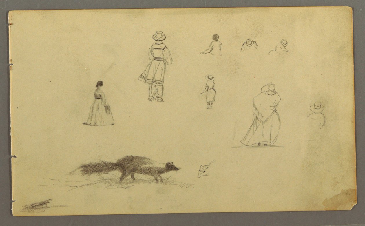 Desenho, Estudos de figuras de costas, uma doninha, possivelmente 1857-58 de Frederic Edwin Church