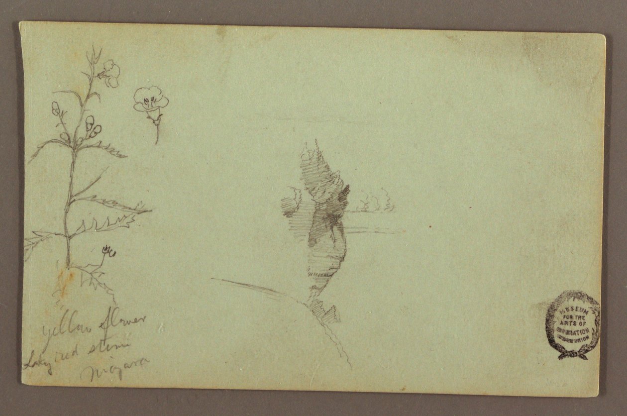 Desenho, Planta florida e uma rocha entre as cataratas americana e canadiana do Niágara, possivelmente 1858 de Frederic Edwin Church