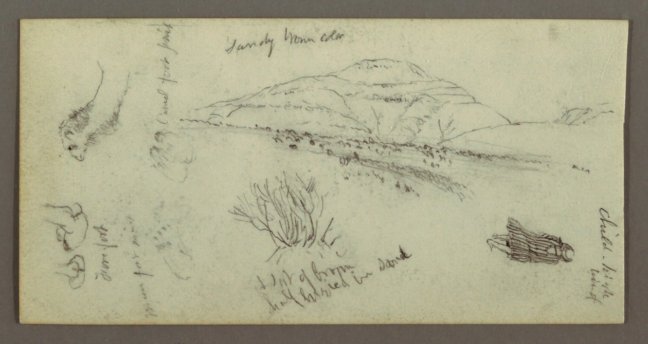 Desenho, Colina, Arbusto, Figura, Estudos de Camelo, possivelmente 1868 de Frederic Edwin Church