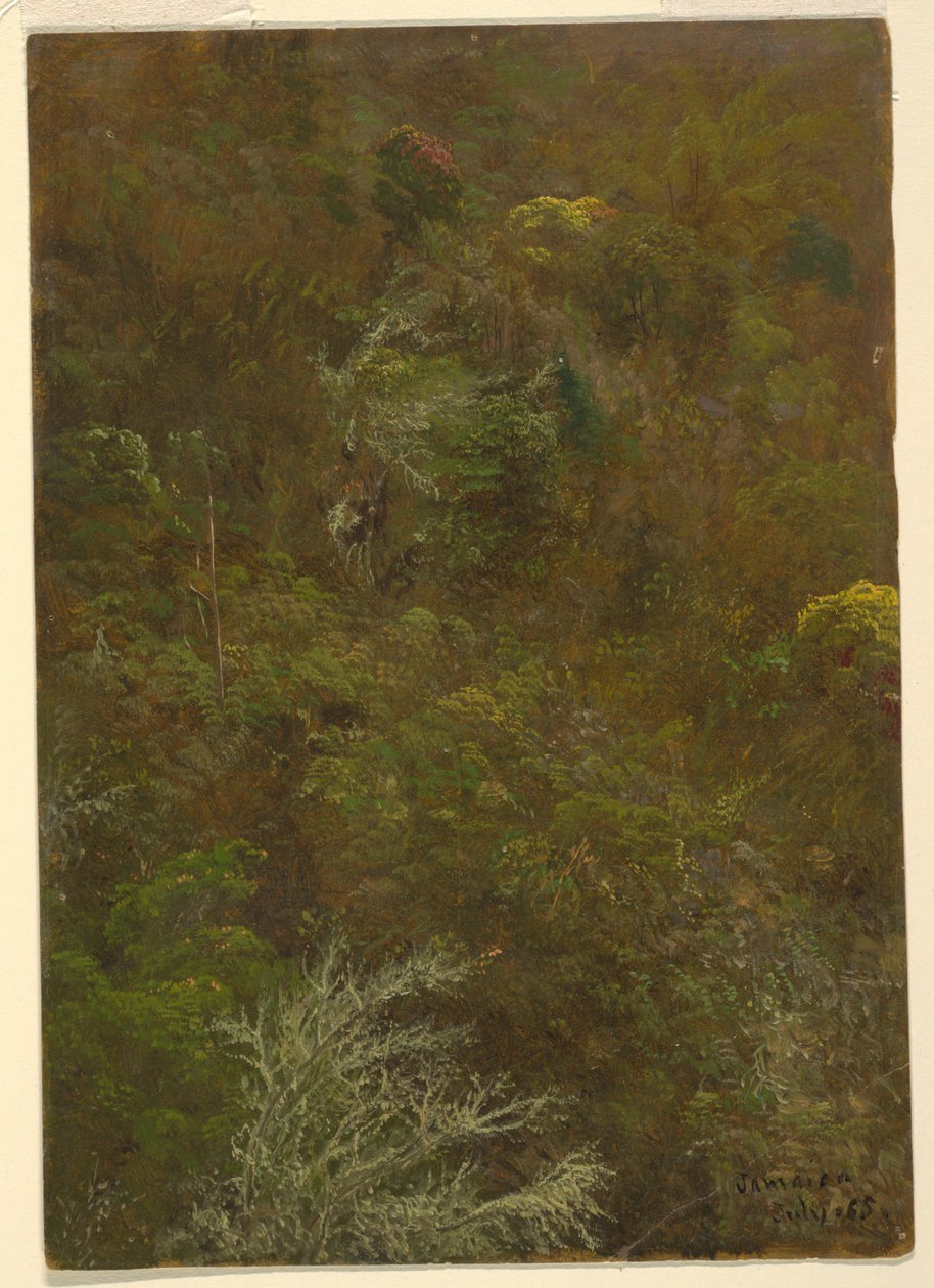Desenho, encosta coberta de arbustos e árvores, julho de 1865 de Frederic Edwin Church