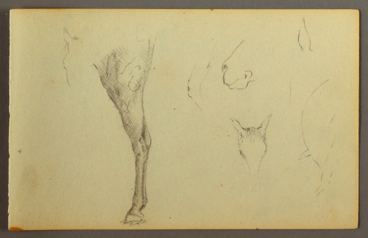 Desenho, Estudos de cavalos, possivelmente 1844 de Frederic Edwin Church
