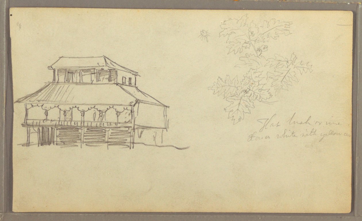 Desenho, Casa, Esboço botânico, Equador ou Colômbia, 1857 de Frederic Edwin Church