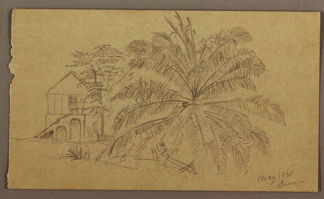 Desenho, Casa e Feto, maio de 1865 de Frederic Edwin Church