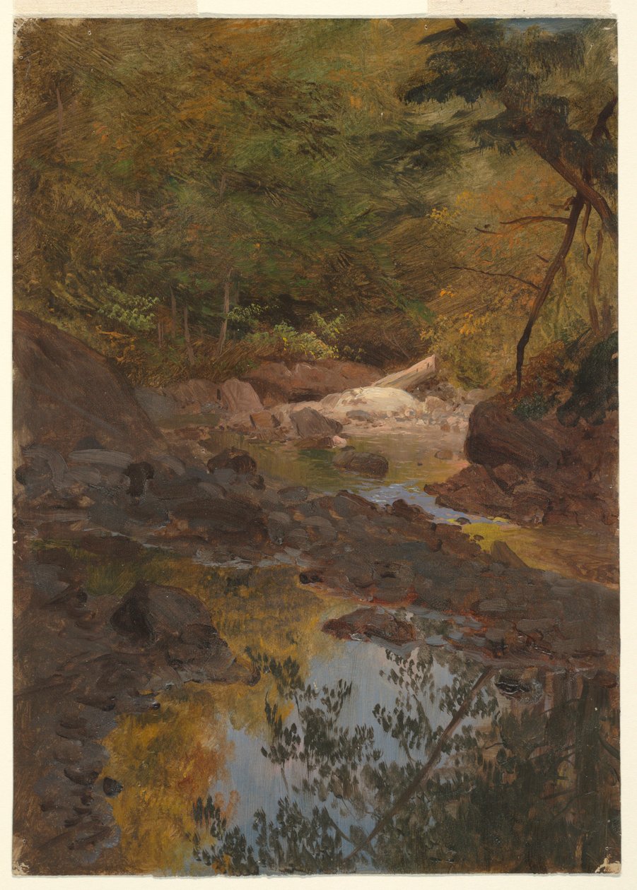 Desenho, Nos bosques de Nova Inglaterra, 1855-65 de Frederic Edwin Church