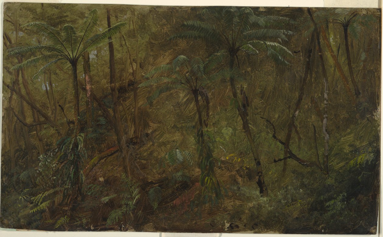 Desenho, Nos bosques da Jamácia, Índias Ocidentais, 1865 de Frederic Edwin Church