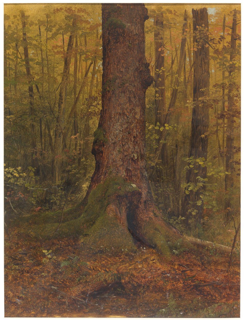 Desenho, No bosque, provavelmente no Maine, 1850-60 de Frederic Edwin Church