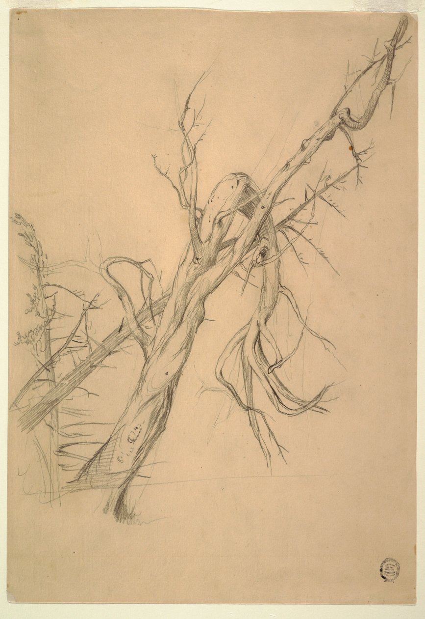 Desenho, acampamento índio, Grand Manan, Baía de Fundy, setembro de 1851 de Frederic Edwin Church