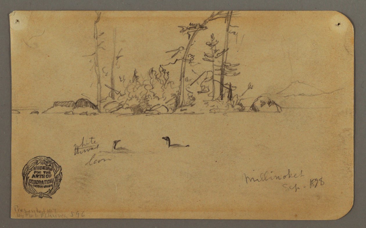 Desenho, Ilha, Dois mergulhões, 1878 de Frederic Edwin Church