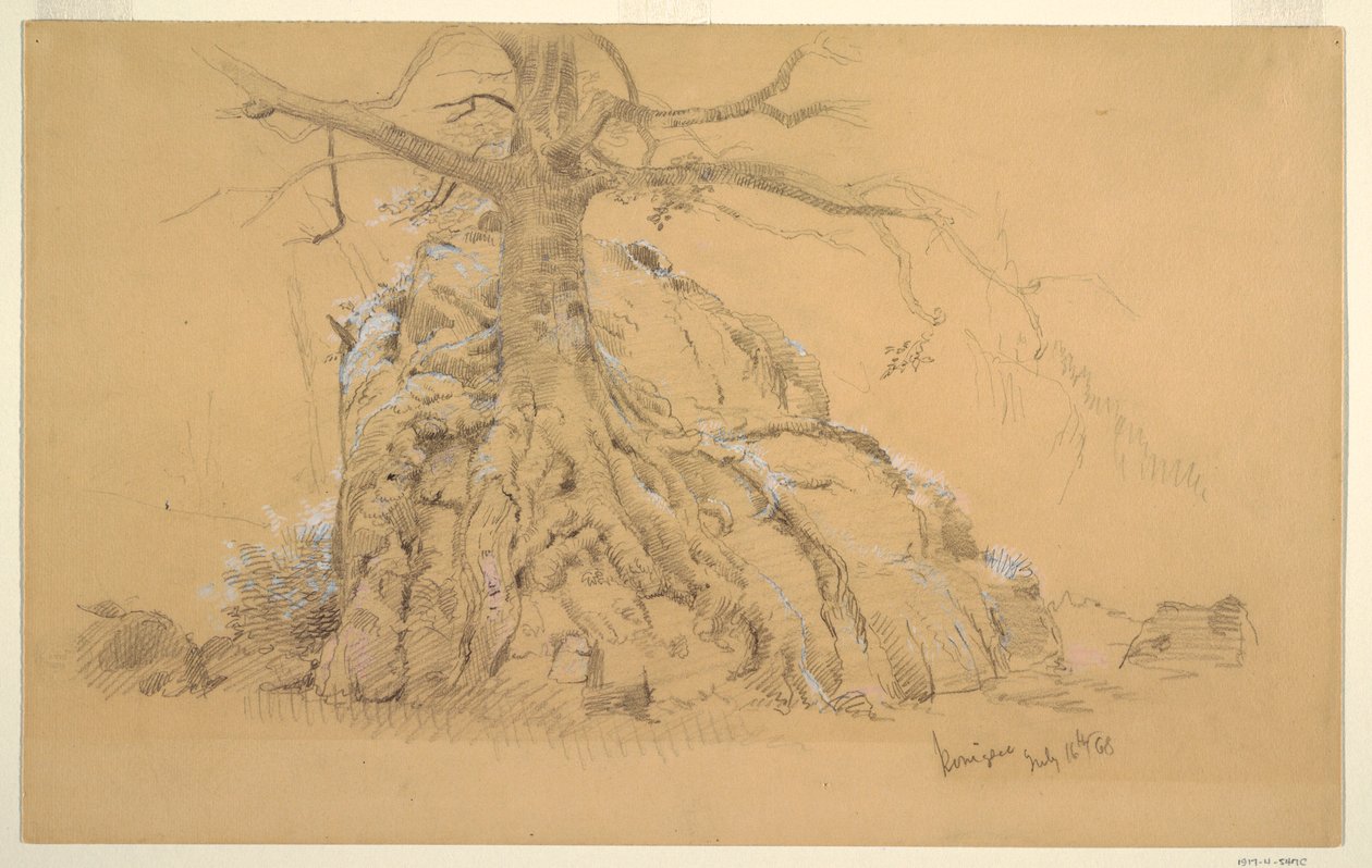 Desenho, Árvore de Königssee, 16 de julho de 1868 de Frederic Edwin Church