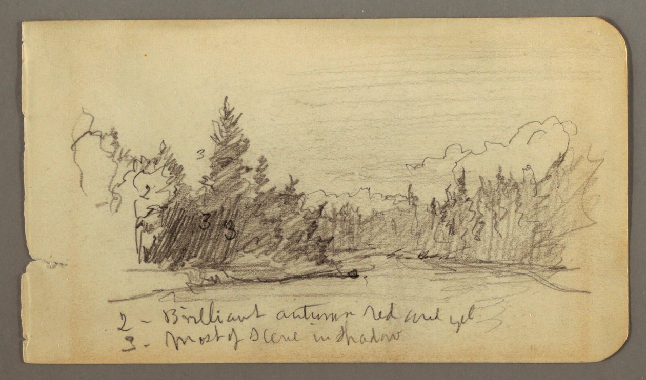 Desenho, Lago rodeado de árvores, possivelmente 1878 de Frederic Edwin Church