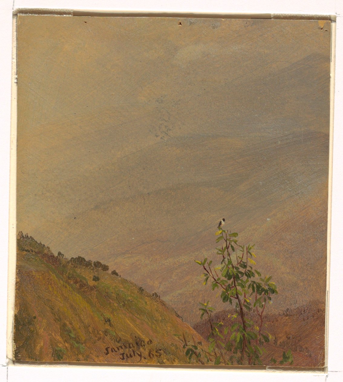 Desenho, Paisagem, julho de 1865 de Frederic Edwin Church