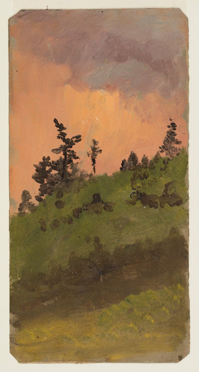 Desenho, Paisagem em bosque, junho de 1870 de Frederic Edwin Church