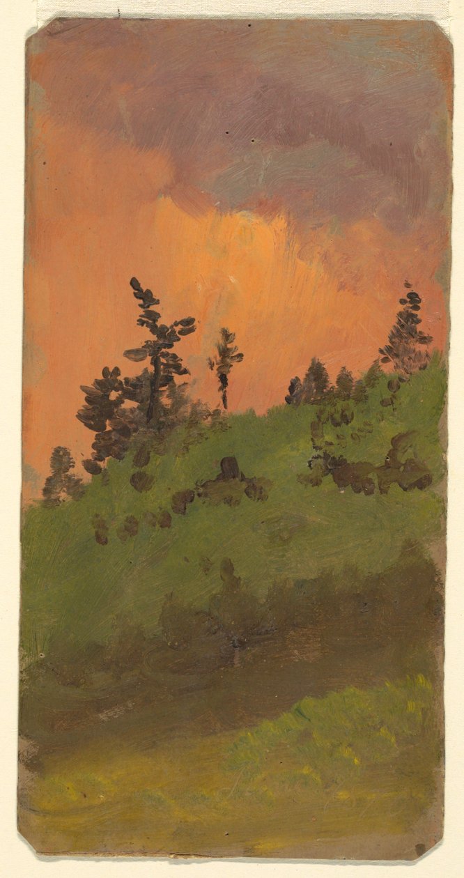 Desenho, Paisagem em bosque, junho de 1870 de Frederic Edwin Church