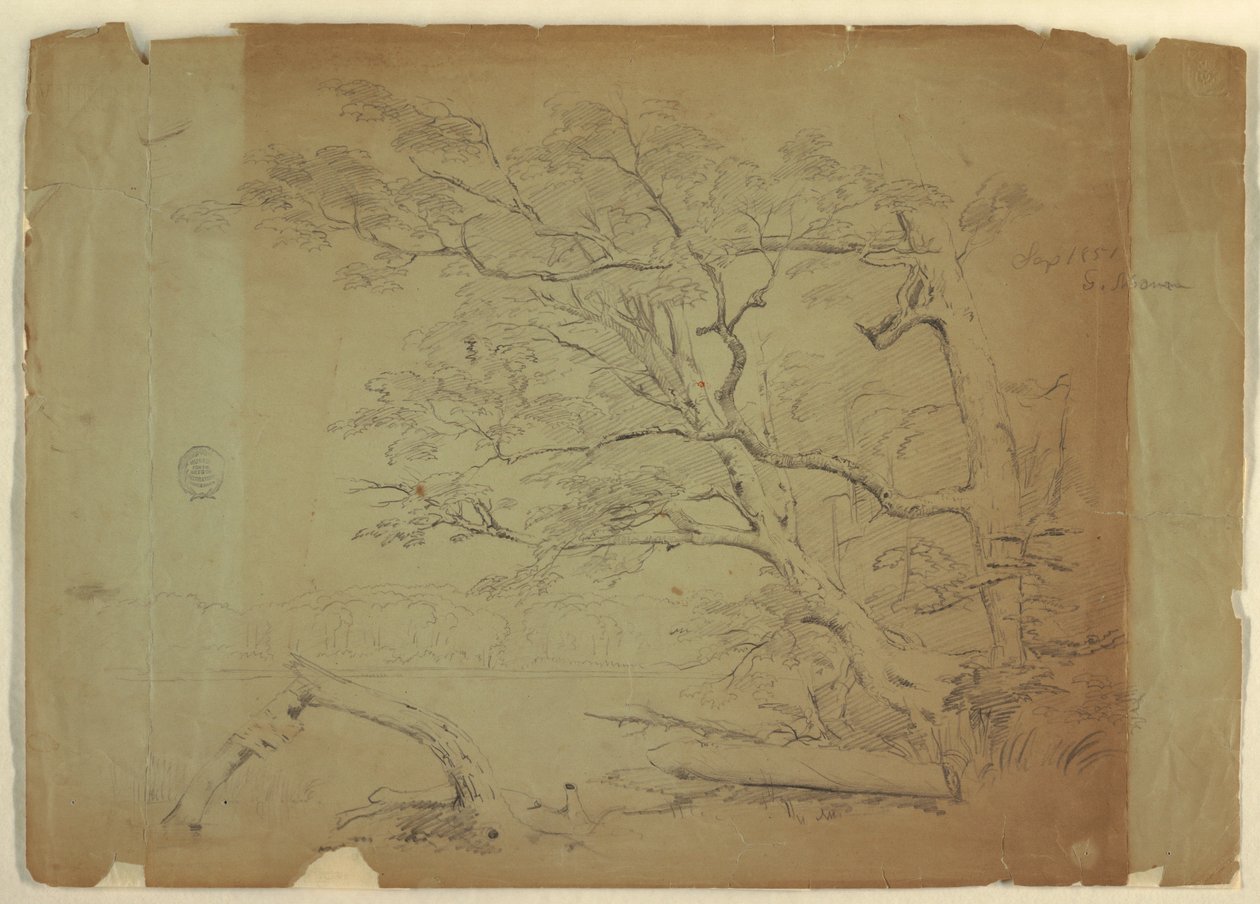 Desenho, Paisagem com árvores e um riacho [], Ilha de Grand Manan, Canadá, setembro de 1851 de Frederic Edwin Church