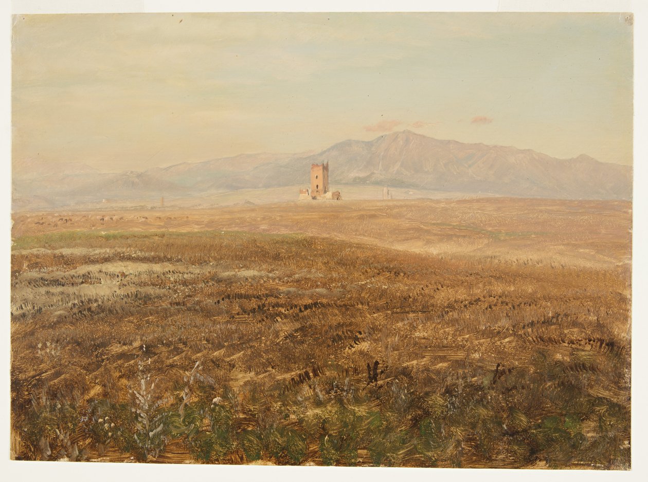 Desenho, paisagem mexicana, abril de 1869 de Frederic Edwin Church