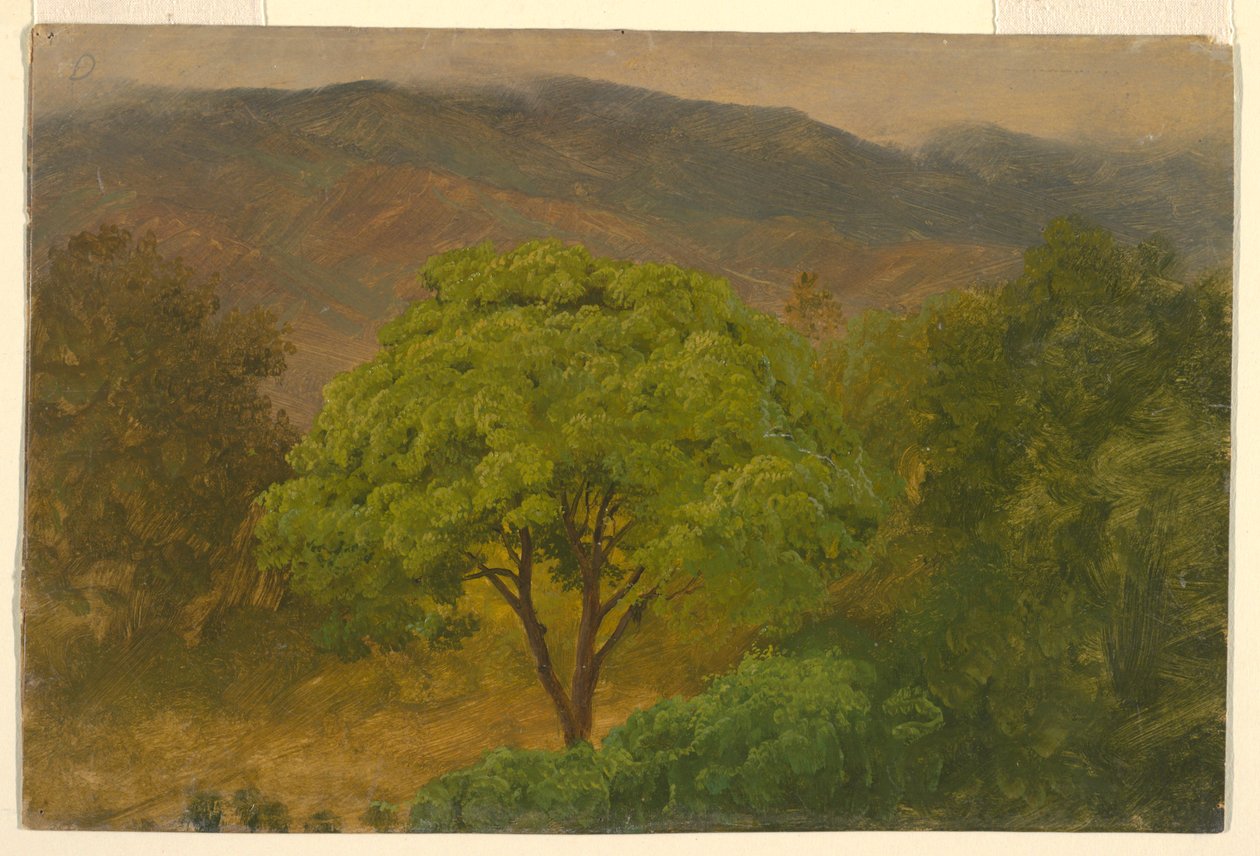 Desenho, Paisagem de montanha, agosto de 1865 de Frederic Edwin Church