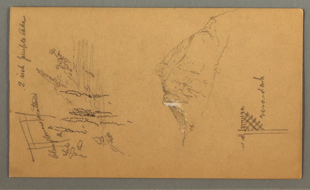 Desenho, Pico da Montanha, Vegetação na Piscina, 1868 de Frederic Edwin Church