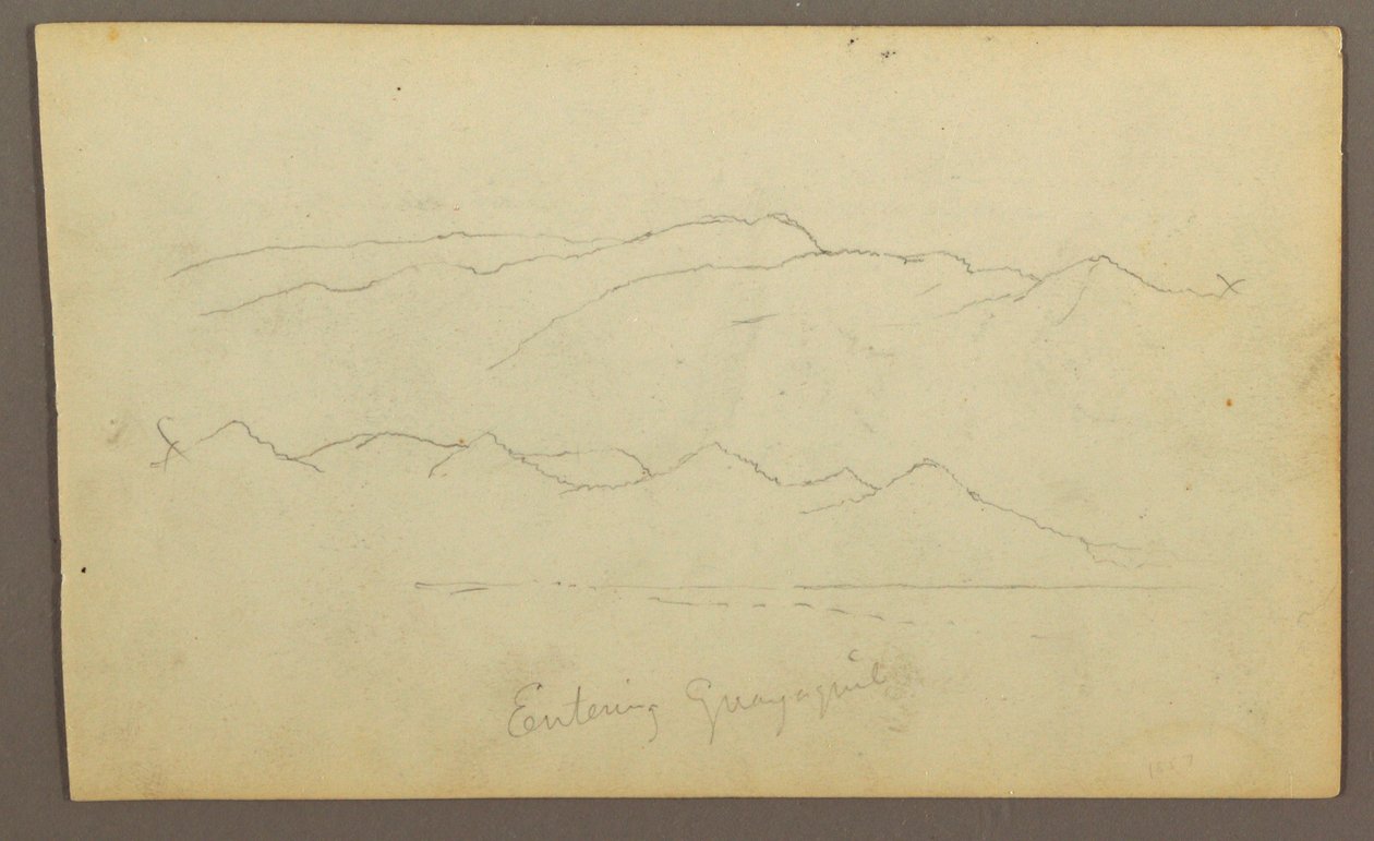 Desenho, Cordilheiras "entrando em Guayaquil"; Verso: Margem do rio, esboços botânicos, possivelmente 1857 de Frederic Edwin Church