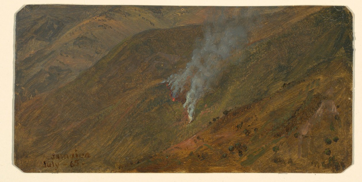 Desenho, encosta da montanha com fogo de mato, junho de 1865 de Frederic Edwin Church