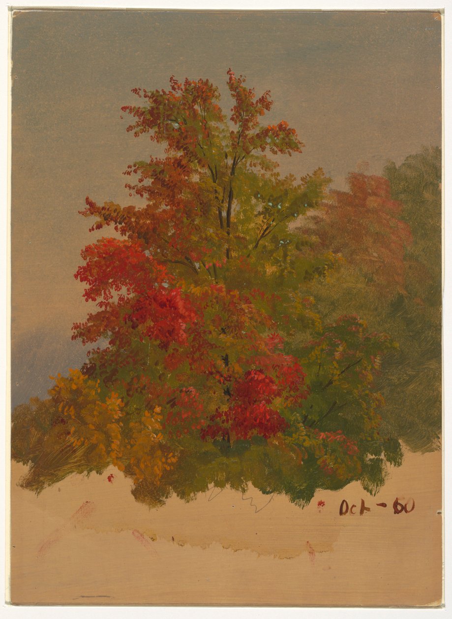 Desenho, Mt. Desert Island , Maine, outubro de 1860 de Frederic Edwin Church
