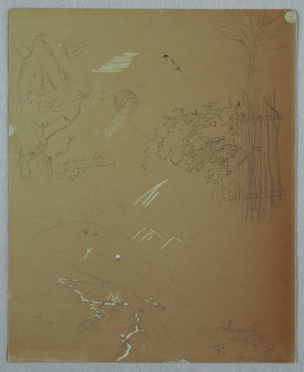 Desenho, Estudos da Natureza, Blue Mountains, Jamaica, julho de 1865 de Frederic Edwin Church