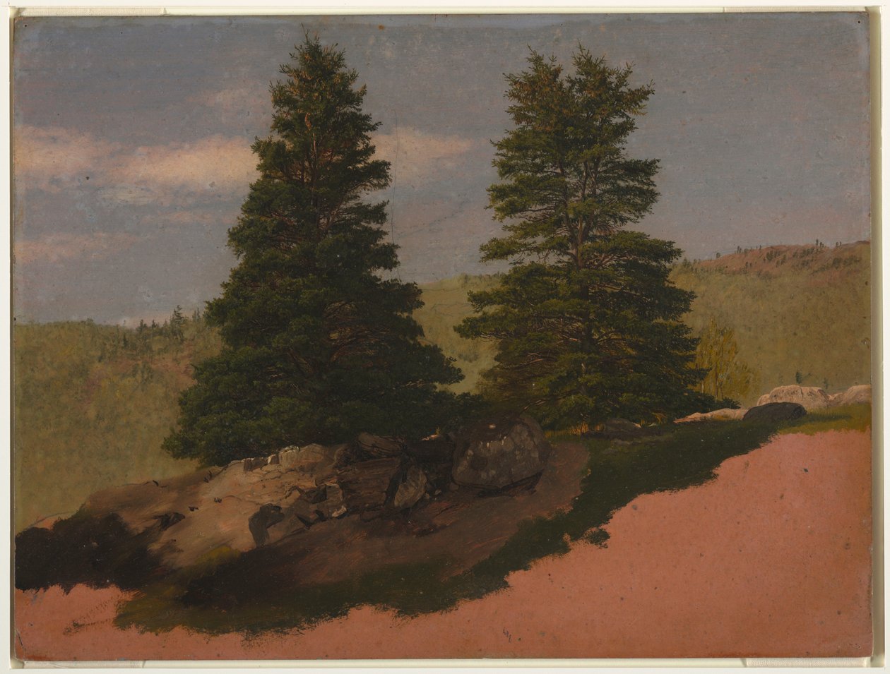 Desenho, Paisagem de Nova Inglaterra (Dois pinheiros), 1850 de Frederic Edwin Church