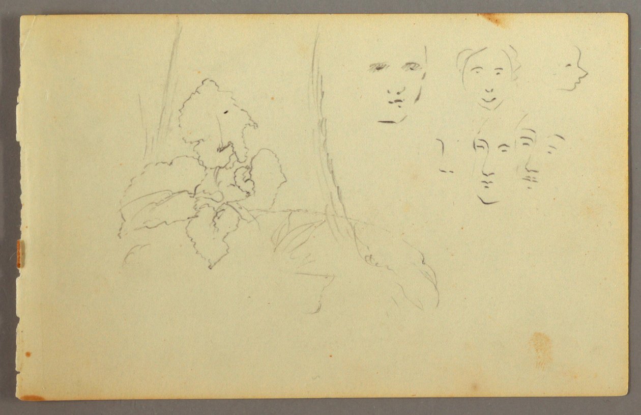 Desenho, Estudo de plantas, faces, possivelmente 1844 de Frederic Edwin Church
