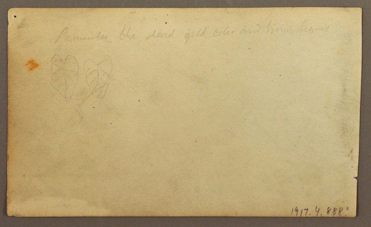 Desenho, Rio Limona perto de uma aldeia, Equador ou Colômbia; Verso: Folhas, 1857 de Frederic Edwin Church