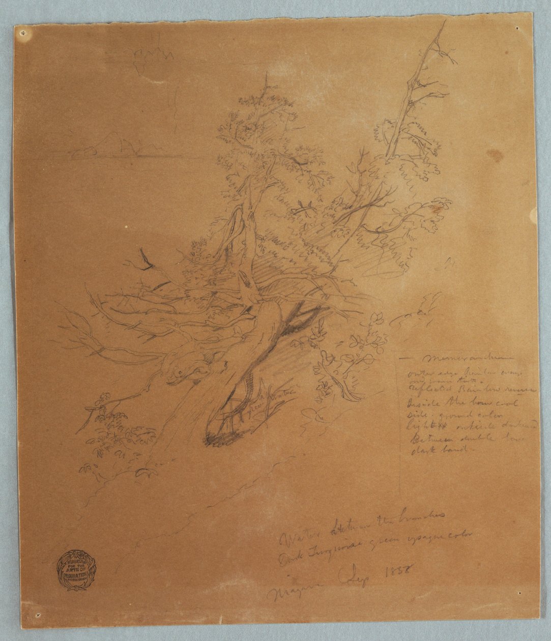 Desenho, Árvore robusta no Banco Canadiano abaixo das Cataratas do Niágara, setembro de 1856 de Frederic Edwin Church