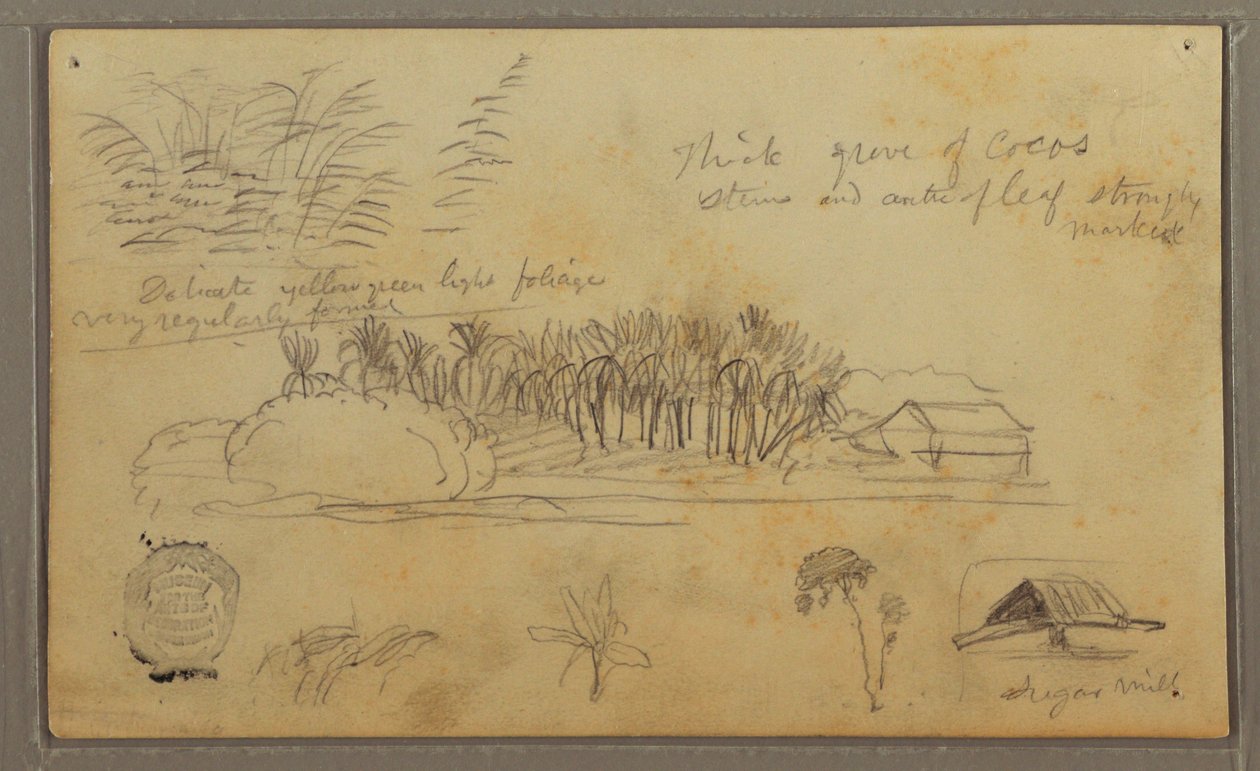 Desenho, Esboços, Equador ou Colômbia; Verso: Esboços, Equador ou Colômbia, 1857 de Frederic Edwin Church