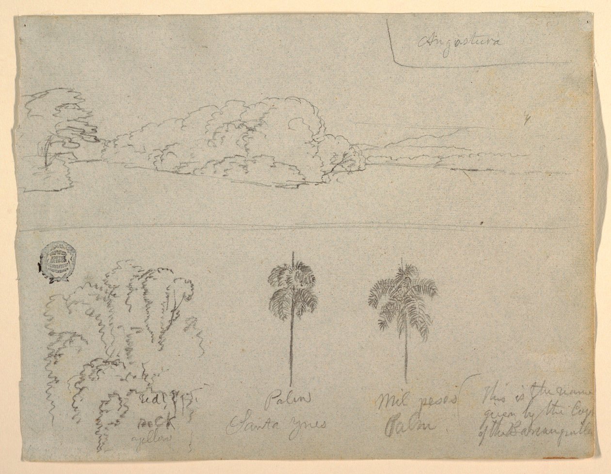 Desenho, Esboços da Colômbia:  Margem de um rio ou baía, e árvores, 1853 de Frederic Edwin Church