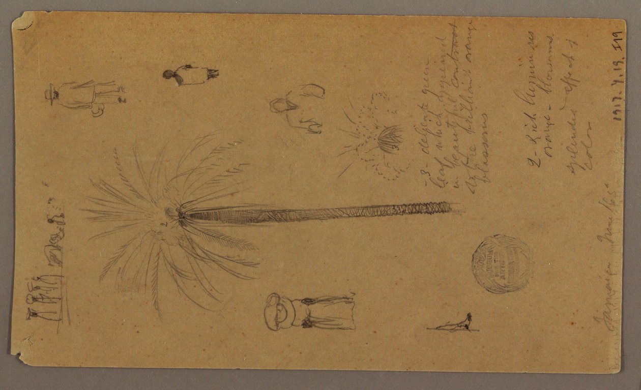 Desenho, Esboços da Jamaica, Índias Ocidentais, junho de 1865 de Frederic Edwin Church