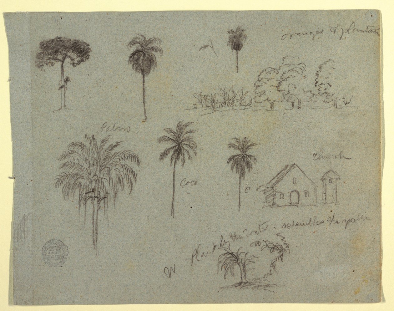 Desenho, Esboços do Rio Magdalene, Columbia:  Estudos Botânicos e uma Igreja, maio de 1853 de Frederic Edwin Church