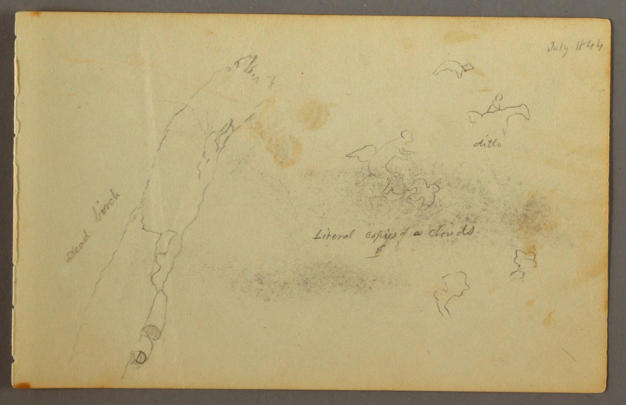 Desenho, Esboços de nuvens e bétula morta, julho de 1844 de Frederic Edwin Church