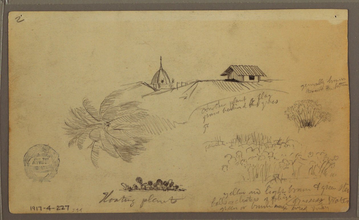 Desenho, Sky over the Sea; Verso: Esboços botânicos, Rooftops, maio de 1857 de Frederic Edwin Church
